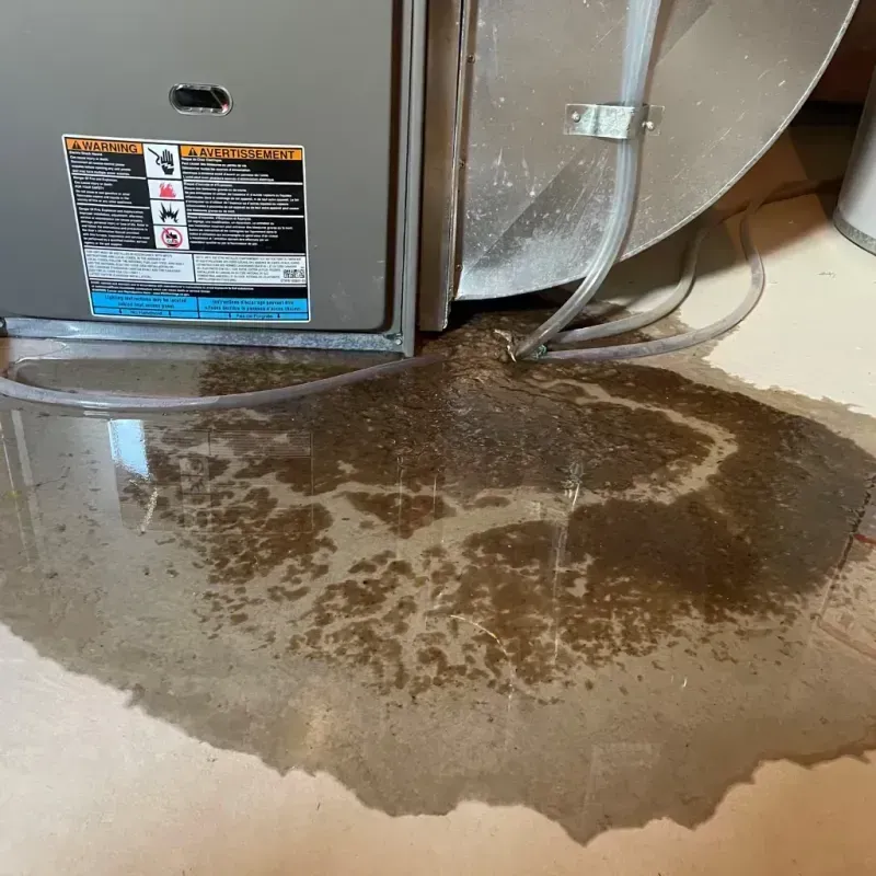 Appliance Leak Cleanup in Riviera Beach, FL